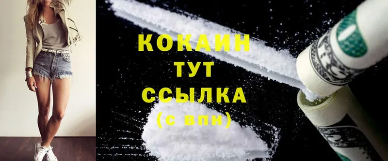 купить наркоту  Кировград  кракен вход  Cocaine FishScale 